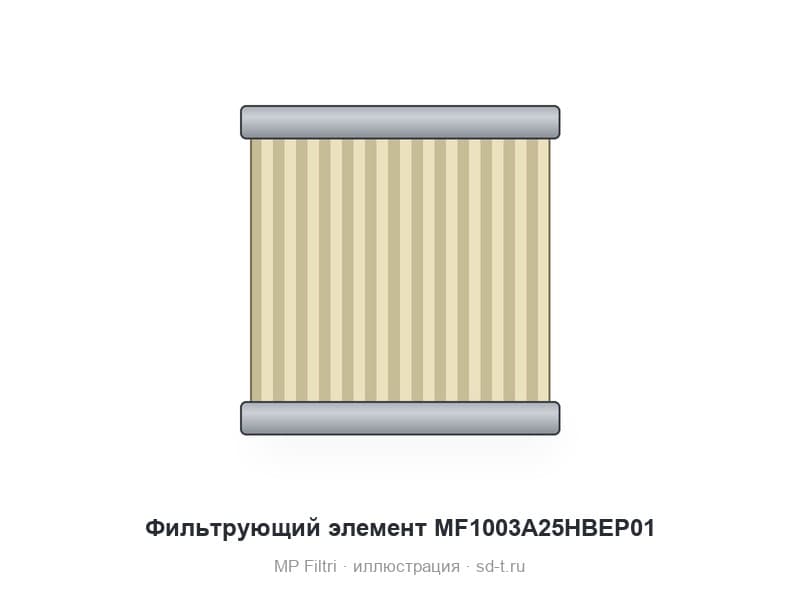 Фильтрующий элемент MF1003A25HBEP01