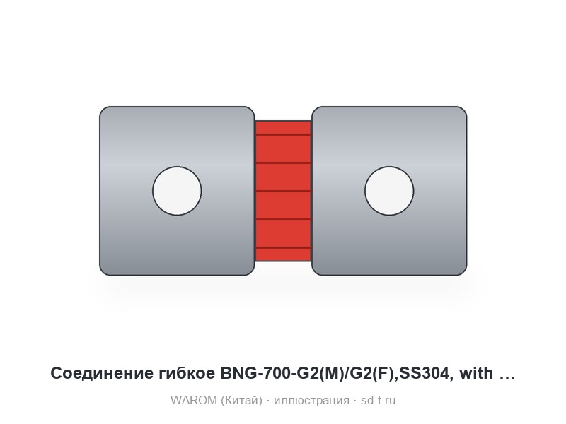 Соединение гибкое BNG-700-G2(M)/G2(F),SS304, with 1-? 63mm brass earth lug